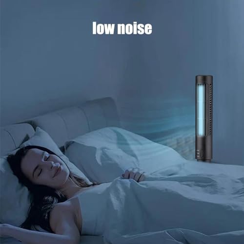 Portable Fan Conditioner with Two Speeds