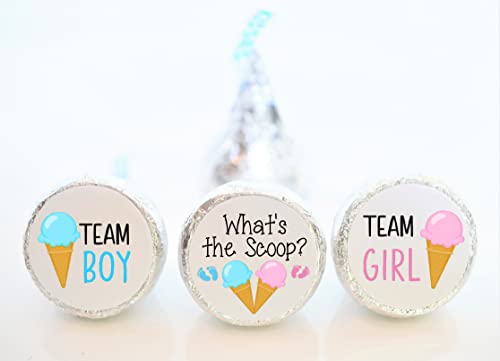 Thats A Wrap Favors Ice Cream Theme Stickers