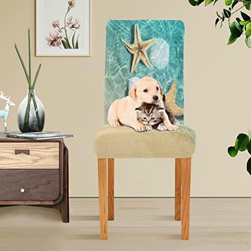 ALAZA Dining Chair Covers with Starfish and Seashell Design