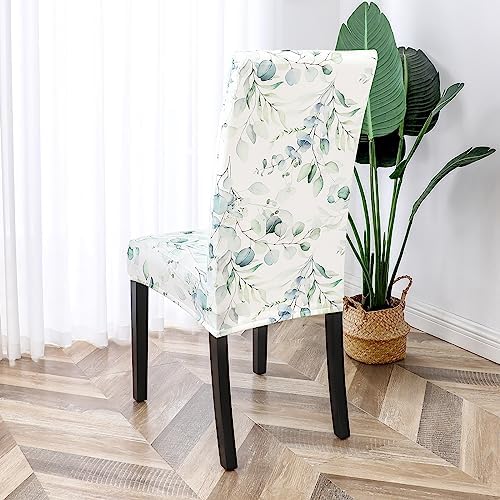 Gibelle Dining Chair Covers Set of 4 Green Floral