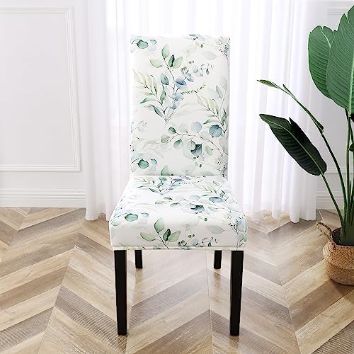 Gibelle Dining Chair Covers Set of 4 Green Floral