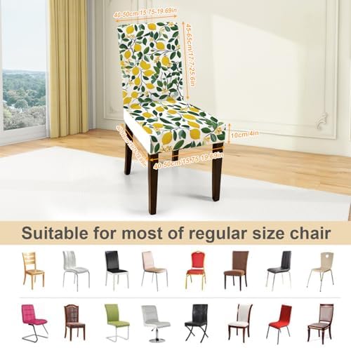 ANNA QUEEN Lemon Print Chair Covers Set of 4