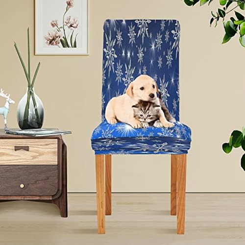 Eionryn Christmas Winter Blue Snowflake Dining Chair Covers 4pcs