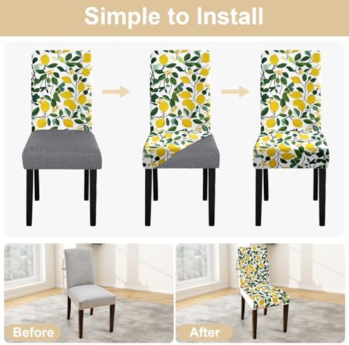ANNA QUEEN Lemon Print Chair Covers Set of 4